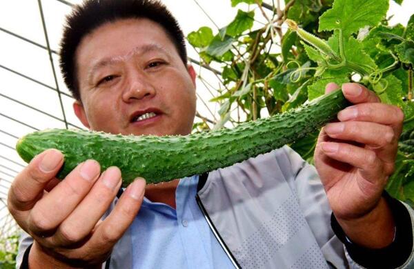生鮮食材配送為什么大多不能與客戶建立長期合作？